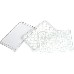 Thermo Scientific Nunc™ Cell Culture Inserts in Carrier Plate Systems