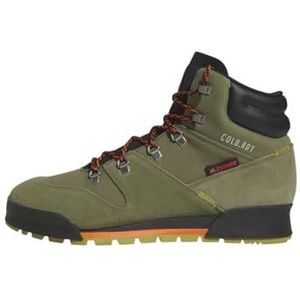 adidas Terrex Snowpitch COLD.RDY Hiking heren wandelschoenen, meerkleurig (Olifoc Negbás Olipul), 36 2/3 EU