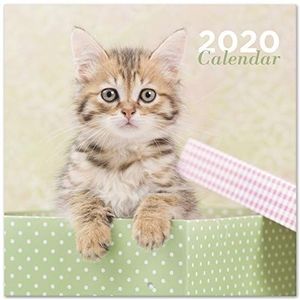 Erik® Wandkalender 2020 officiële licentieproducten, 30 x 30 cm, 12 maanden