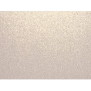 Nieuwsgierige Metallics Naakt 120gsm Parelmoer Premium Dubbelzijdig Papier x 100 Vellen van A4