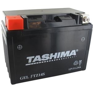 Greenstar 11543 YTZ14S gel-batterij