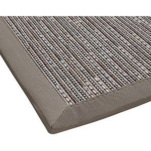 BODENMEISTER Sisal-optiek binnen en buiten tapijt plat weefsel moderne hoogwaardige randen, verschillende kleuren en maten, variant: lichtgrijs, 80x150