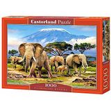 Kilimanjaro Morning Puzzel (1000 stukjes)