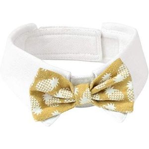 Croci kraag Pina Colada, maat M