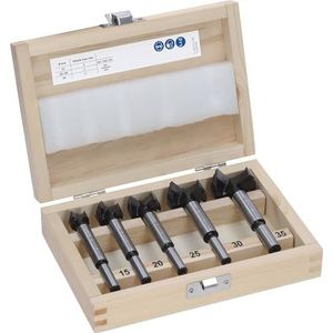Bosch 5 x Expert scharnierboorset voor multiplex (voor kunststof gecoate platen, massief houten meubelplaat, 15,0, 20,0, 25,0, 30,0, 35,0 mm, professionele accessoires staande boor)