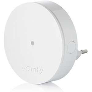 Somfy 2401495 - Radiorelais Somfy Beschermen | Hou van de radio | Compatibele Gammes Home Alarm en Somfy ÉÉN (+)