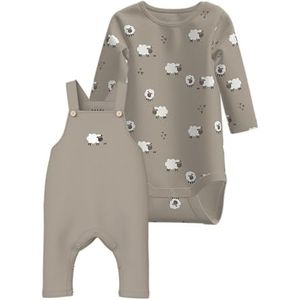 NAME IT - Set 'NBMVONNE' - Grijs - 2-delig - Rompertjes