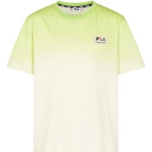 FILA BUDIMIR T-shirt voor jongens, Egret Gradient AOP, 134/140