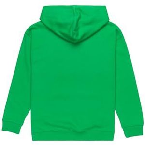 Element Skateboard Co Po Y Sweatshirt voor jongens (pak van 1)