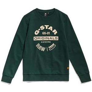 G-STAR RAW Jongens Ss15017 Sweater, groen (blad D24986-01-4287), 12 Jaren