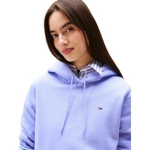 Tommy Jeans - TJW REG S FLAG HOODIE - Hoodie - Vintage Iris - Met Capuchon