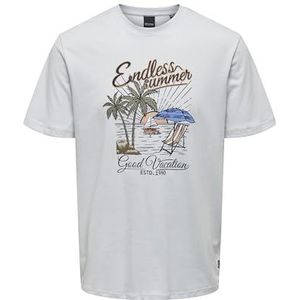 ONLY & SONS Heren Onsalberto Reg Summer Ss Tee T-shirt, Plein Air, L