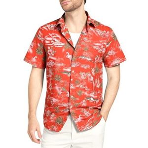 SSLR Button-down overhemd voor heren, oranje-rood, L