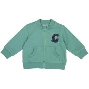 Chicco Licht sweatshirt met ritssluiting en lange mouwen, Medium Groen, 9 mesi