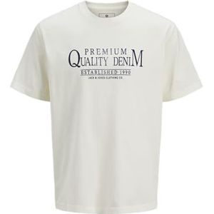 Jack & Jones Jprblulucas SS Tee, cloud dancer, XS