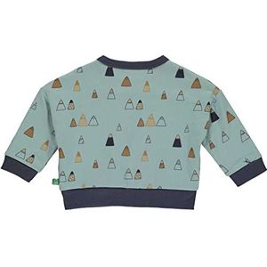 Fred's World by Green Cotton Polar sweatshirt baby trainingspak voor jongens, Mineraal, 80