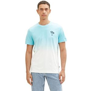 TOM TAILOR Heren 1036421 T-shirt, 32038-Aqua Color Run, 3XL, 32038 - Aqua Color Run, 3XL