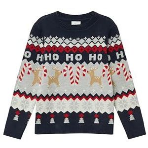 s.Oliver RED LABEL - Kersttrui - Donkerblauw/Grijs - Gebreide