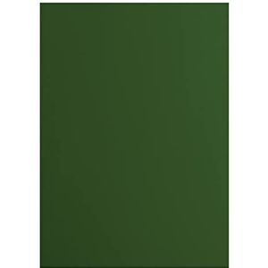 Vaessen Creative Florence Cardstock-papier, 2927-078, groen, 216 g/m², DIN A4, 10 stuks, glad, voor scrapbooking, kaarten maken, stansen en ander papierknutselwerk