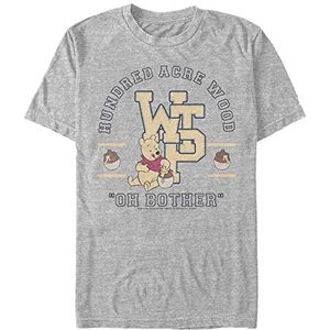 Disney Winnie the Pooh - Winnie The Pooh Collegiate Unisex Crew neck T-Shirt Melange grey XL