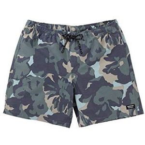 Burton Creekside Shorts voor heren