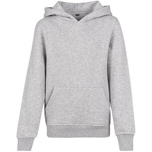 Build Your Brand Basic Hoodie