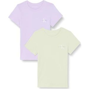 Calvin Klein Jeans S/S T-shirts voor dames, Celadon Groen/Pastel Lila, XXL