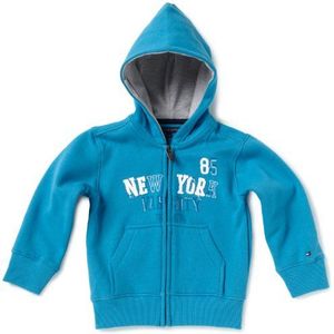 Tommy Hilfiger Galvin Mini Hooded ZIPTHROUGH BJ52218365 Sweatshirts voor jongens