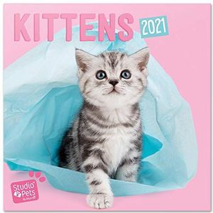 Officiële Studio Pets Kittens 2021 Wandkalender 11,8 x 11,8 inch (16 maanden) Familie Planner Kalender 2021