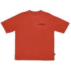 Borussia Dortmund BVB Urban Tee oranje 2025, shirt mt. L, oranje, L Tall