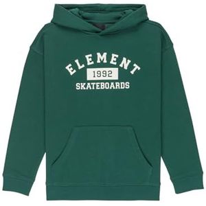 Element - Pull Home Team PO Y Garçon - Groen - Sweater