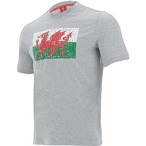 Katoenen T-shirt Pays de Galles Rugby XV 2020/21