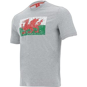 Welsh Rugby Logo Grafisch T-shirt, Vlag Print, Grijs, Heren, Grijs, M