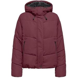 Only - ONLMAGGI LIFE SHORT PUFFER - Gewatteerde Jas - Cabernet