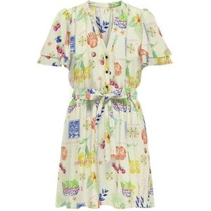 Onlnova - Life Vis S/S Lenia Dress - Korte Jurk - Cloud Dancer