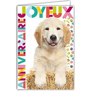Afie 67-1230 Kaart Gelukkige Verjaardag Hond Puppy Labrador Retriever Dierenpoten met Witte envelop Formaat 12 x 17,5 cm