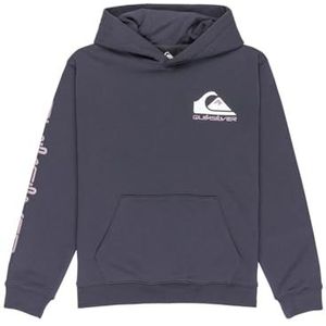 Quiksilver - Omni Logo - Hoodie - Grijs - 10 Years Jongens