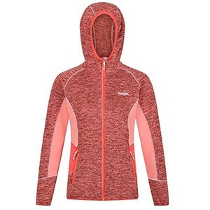 Regatta Dames Walbury III Trui, Fusion Coral/Neon Roze, 18