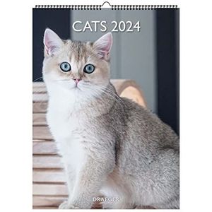DRAEGER PARIS | Wandkalender katten 2024 om op te hangen, 29 x 39 cm, 16 maanden sept-23 tot december 24, 7 talen, kalender kantoor, huis, maandelijks | decoratie, organisatie | FSC®-gecertificeerd