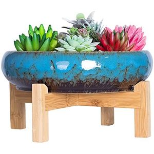 ARTKETTY Vetplant Pot - Grote Bonsai Pot met Stand Ondiepe Cactus Plant Pot met puinhoop Drainage Scherm, 25,4 CM Keramische Bloem Plant Container Bowl voor Binnen/Buiten (Blauw)