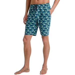 CALIDA RMX Sleep broek, groen-grijs, 48/50 FR heren, Groen-grijs, 48-50