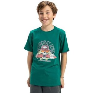 Quiksilver Jongens Ev Skull Feast Ss YTH T-shirt (1 stuk)