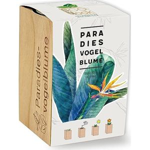 Feel Green ecoblock Paradijsvogelbloem, duurzaam cadeau-idee (100% milieuvriendelijk), kweek je eigen/kweekset, planten in houten blok, gemaakt in Oostenrijk