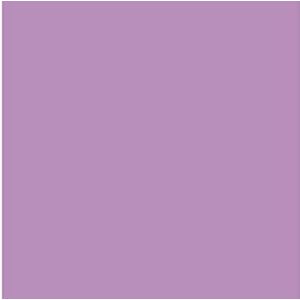 Iris 400080161 - pak van 25 vellen fotokarton, 50 x 65 mm, 185 g, kleur violet