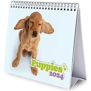 Grupo Erik Kalender 2024 Dogs Warren Photographic - Bureaukalender 12 maanden - Bureaukalender met fsc-certificaat