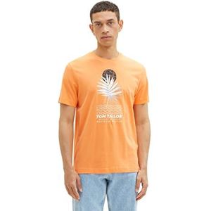 TOM TAILOR Heren 1036430 T-shirt, 22195-Fruity Melon Orange, 3XL, 22195 - Fruity Melon Orange, 3XL