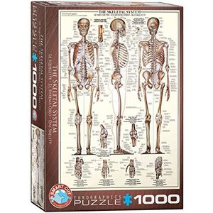 Het skeletsysteem 1000-delige puzzel