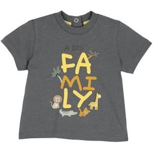 Chicco, T-shirt voor jongens met korte mouwen voor meisjes van zacht katoen, ontworpen in Italië, babykleding van 0-24 maanden en kinderen, Veelkleurig., 2 anni