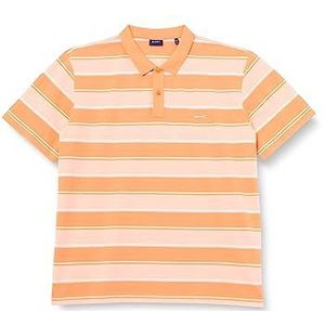 GANT Heren Multi Stripe SS Pique Polo Shirt Apricot Oranje, Standaard, abrikoos oranje, L