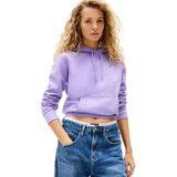 Tommy Jeans Dames TJW REG S FLAG HOODIE DW0DW19958 Pullover Hoodie, Paars (Ophelia Purple), XXS, Paars (Ophelia Paars), XXS